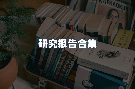 研究报告合集